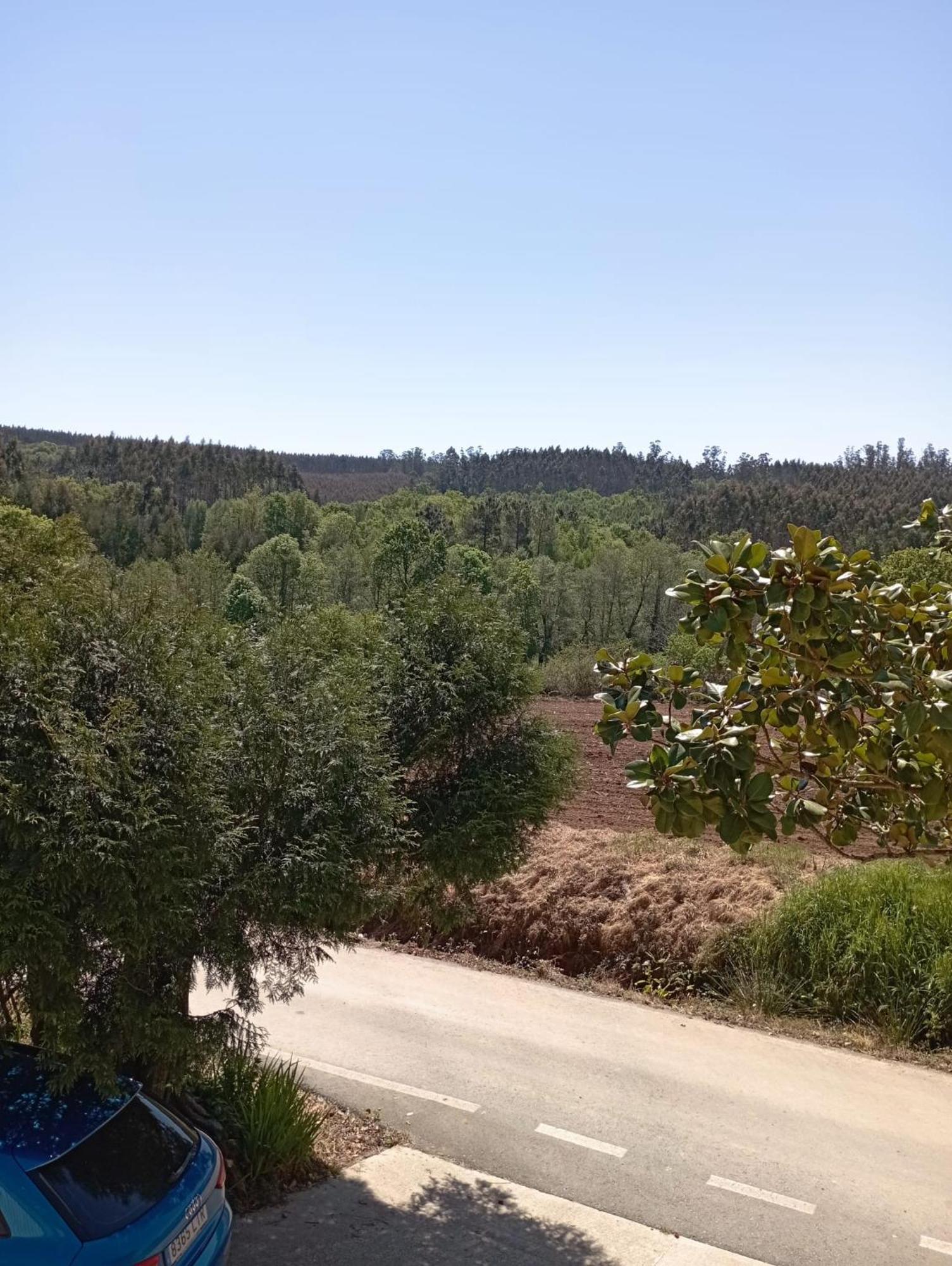 Apartmán A Casa Do San Paio De Buscas Ordes Exteriér fotografie