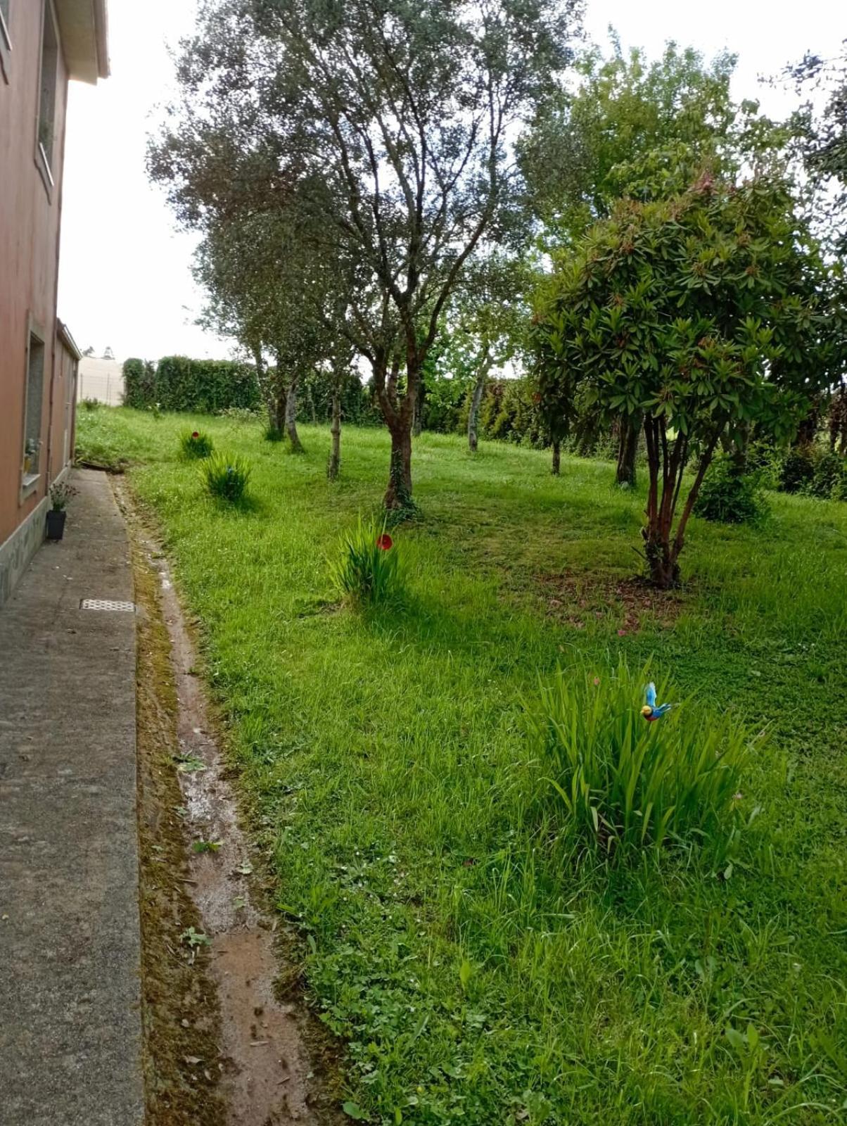 Apartmán A Casa Do San Paio De Buscas Ordes Exteriér fotografie