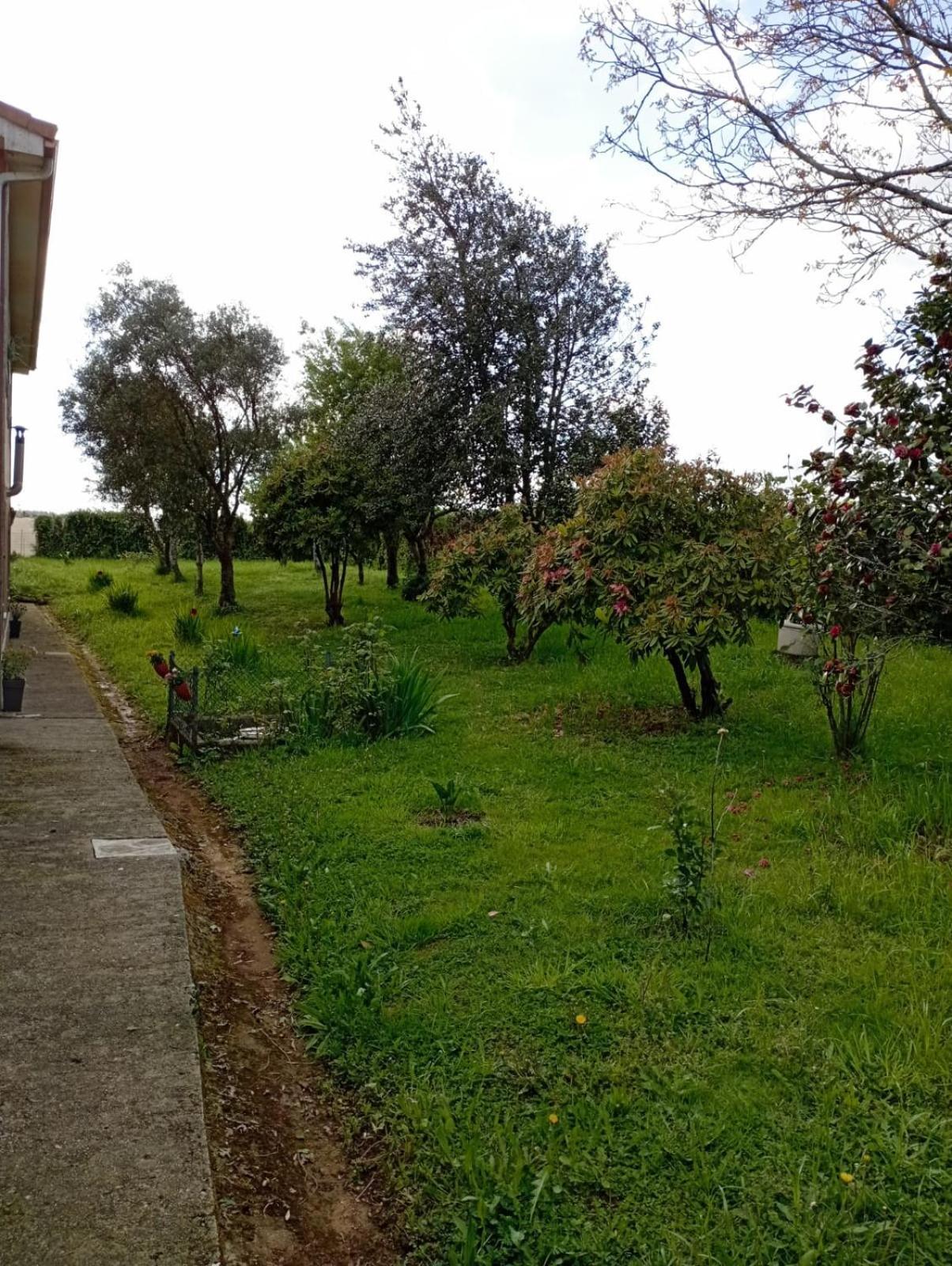 Apartmán A Casa Do San Paio De Buscas Ordes Exteriér fotografie